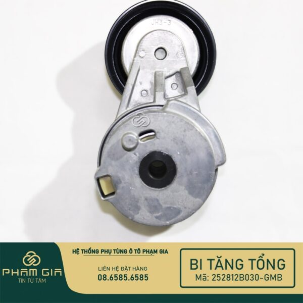 BI TANG TONG 252812B030-GMB
