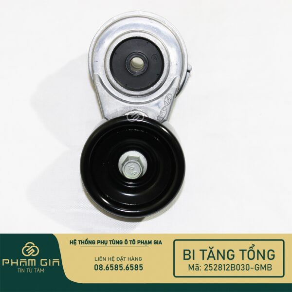 BI TANG TONG 252812B030-GMB