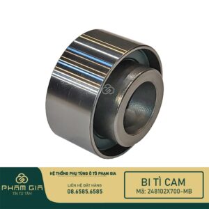 BI TI CAM 248102X700-MB