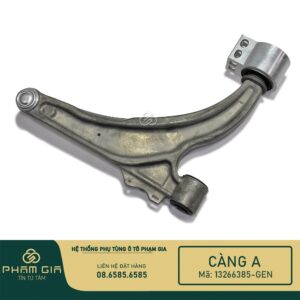 CANG A PHAI 13266385-GEN