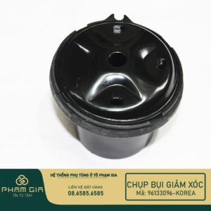 CAO SU CHUP BUI 96133096-KR