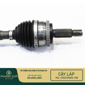 CAY LAP PHAI 495011R000-MB
