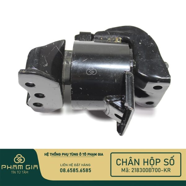 CHAN HOP SO 218300B700-KR