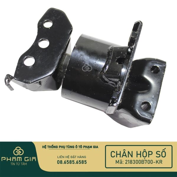 CHAN HOP SO 218300B700-KR