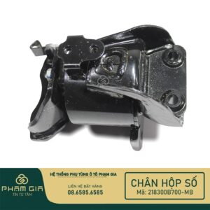 CHAN HOP SO 218300B700-MB