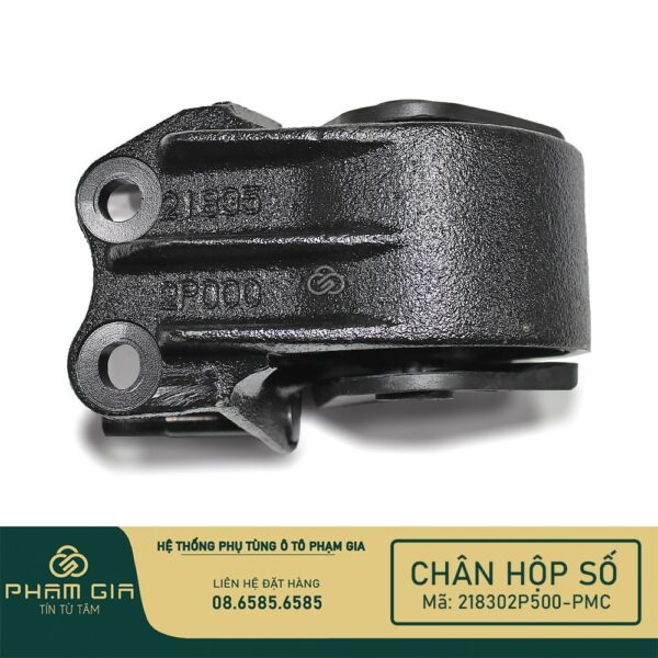 CHAN HOP SO 218302P500-PMC