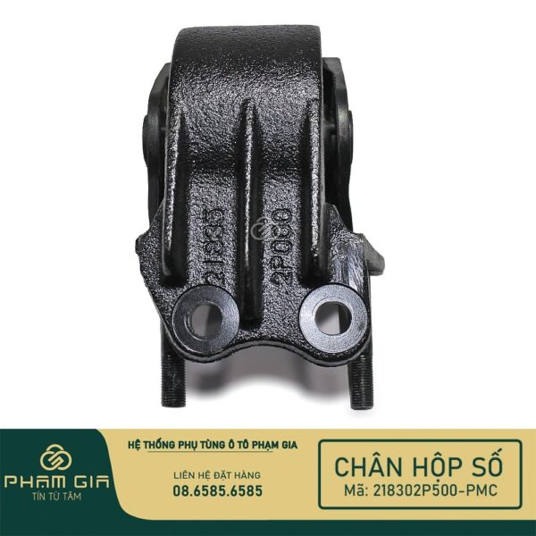 CHAN HOP SO 218302P500-PMC