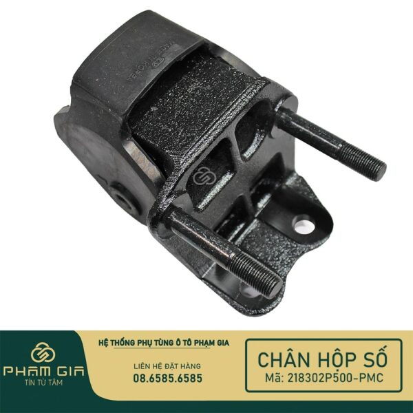 CHAN HOP SO 218302P500-PMC