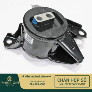 CHAN HOP SO 218302W300-MB