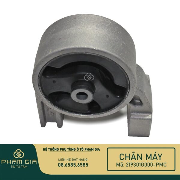 CHAN MAY SAU 219301G000-PMC