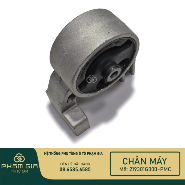 CHAN MAY SAU 219301G000-PMC