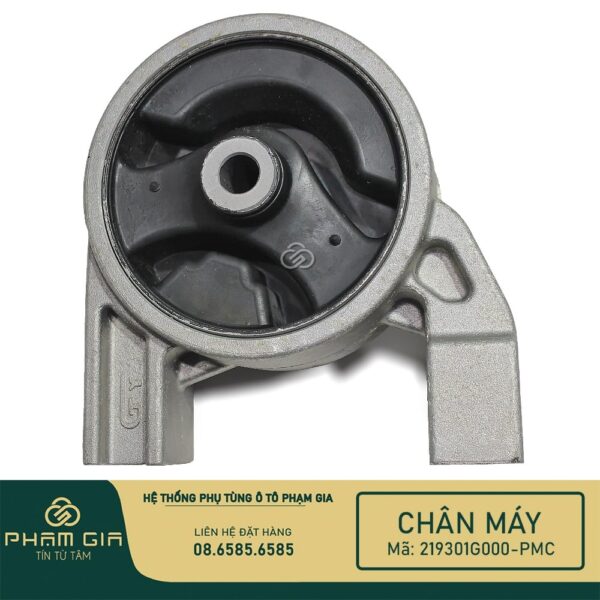 CHAN MAY SAU 219301G000-PMC