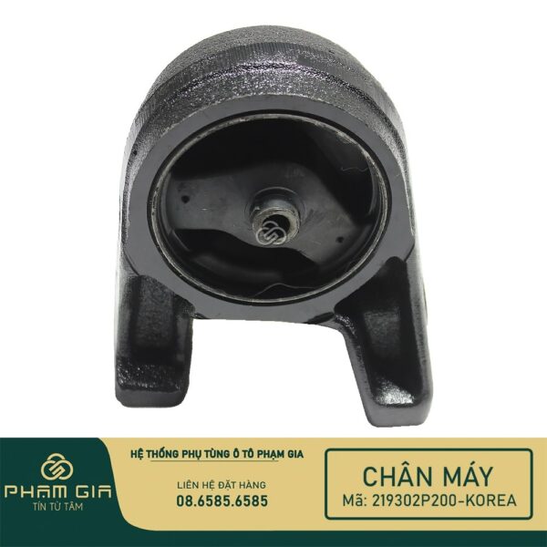 CHAN MAY SAU 219302P200-KR