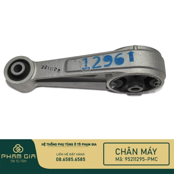 CHAN MAY SAU 95211295-PMC