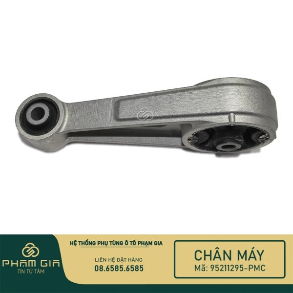 CHAN MAY SAU 95211295-PMC