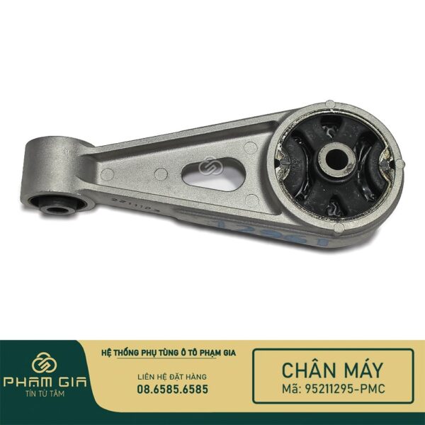 CHAN MAY SAU 95211295-PMC