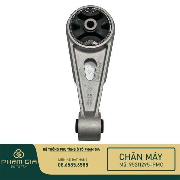 CHAN MAY SAU 95211295-PMC