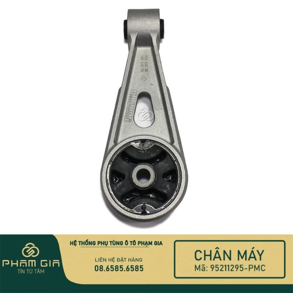 CHAN MAY SAU 95211295-PMC