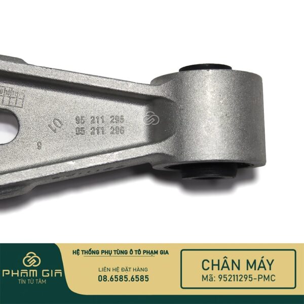 CHAN MAY SAU 95211295-PMC