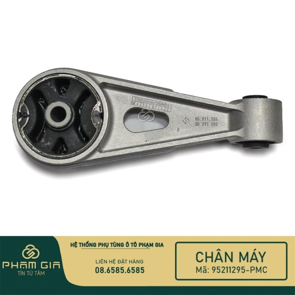 CHAN MAY SAU 95211295-PMC