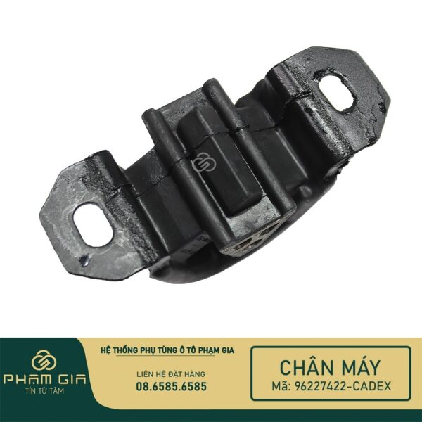 CHAN MAY SAU 96227422-CADEX