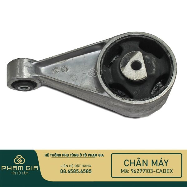 CHAN MAY SAU 96299103-CADEX