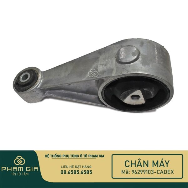 CHAN MAY SAU 96299103-CADEX