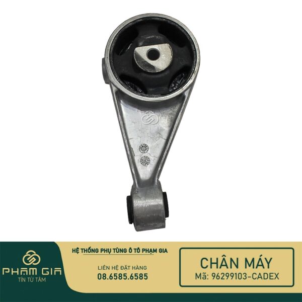 CHAN MAY SAU 96299103-CADEX