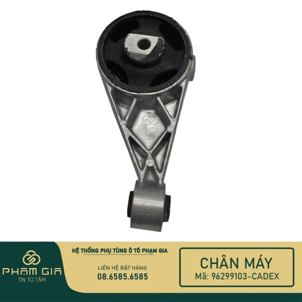 CHAN MAY SAU 96299103-CADEX