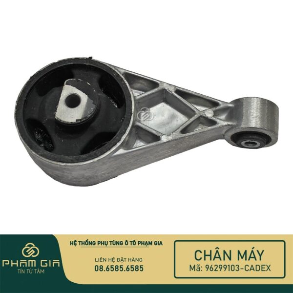 CHAN MAY SAU 96299103-CADEX