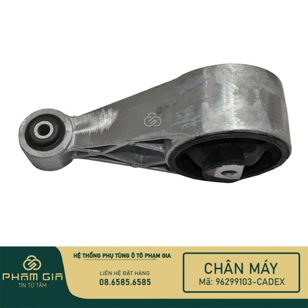 CHAN MAY SAU 96299103-CADEX