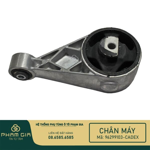 CHAN MAY SAU 96299103-CADEX