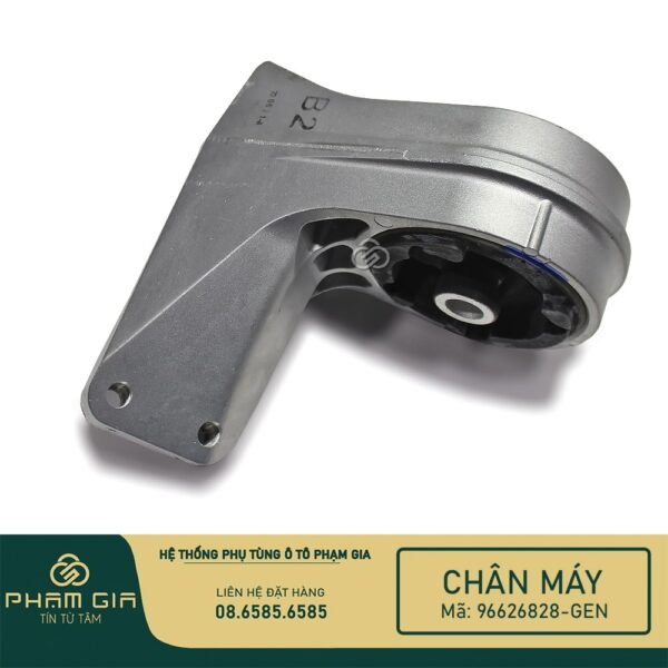 CHAN MAY SAU 96626828-GEN