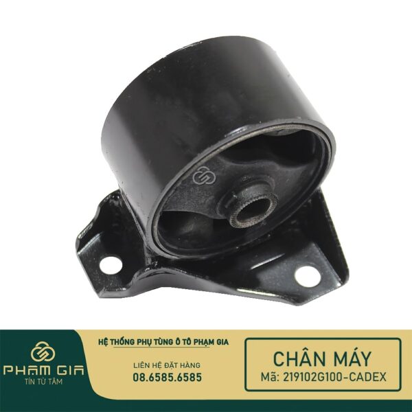 CHAN MAY TRUOC 219102G100-CADEX