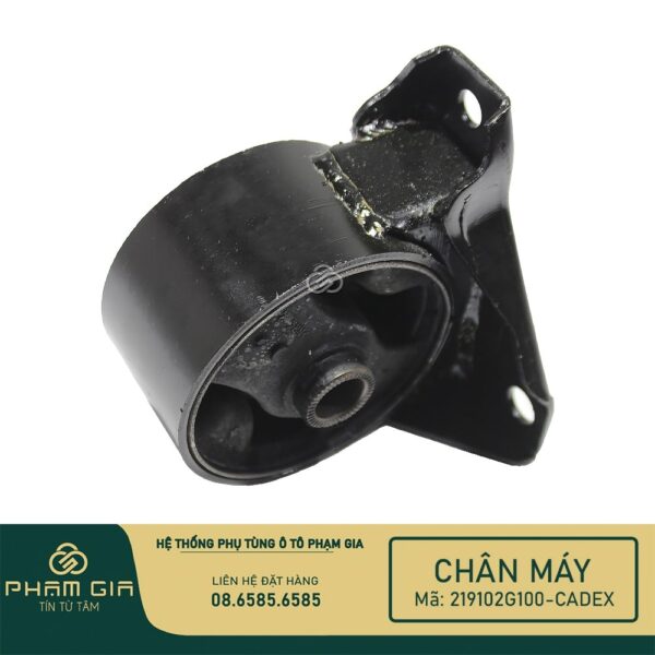 CHAN MAY TRUOC 219102G100-CADEX