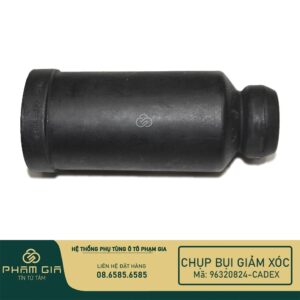 CHUP BUI GIAM XOC TRUOC 96320824-CADEX