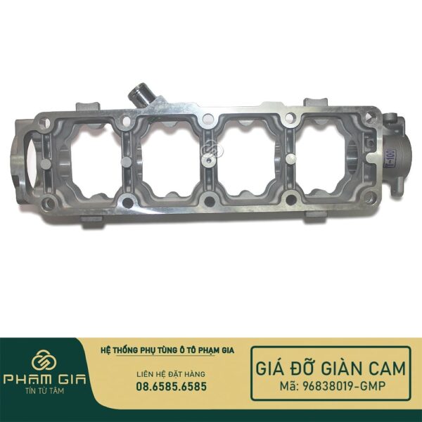 GIA DO GIAN CAM 96838019-GMP