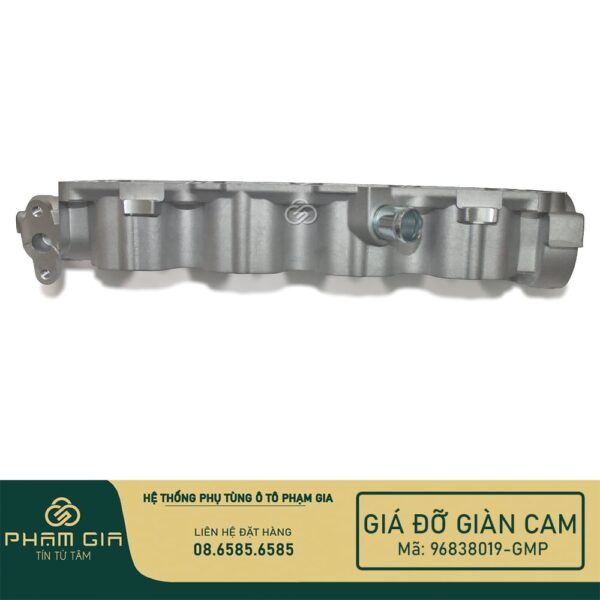 GIA DO GIAN CAM 96838019-GMP