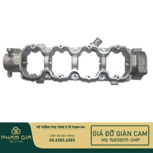 GIA DO GIAN CAM 96838019-GMP