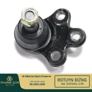 RO TUYN DUNG 15293924-CTR