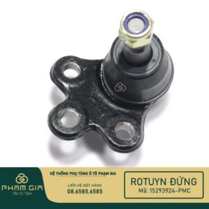 RO TUYN DUNG 15293924-PMC