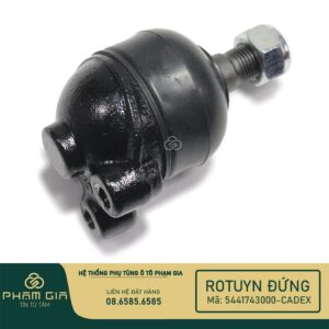 RO TUYN DUNG 5441743000-CADEX