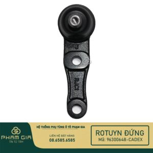 RO TUYN DUNG 96300648-CADEX
