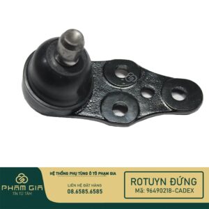 RO TUYN DUNG 96490218-CADEX