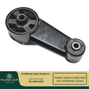 THANH GIANG CHAN MAY 2193007101-CADEX