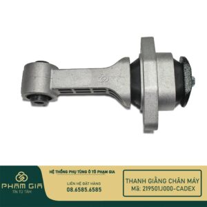 THANH GIANG CHAN MAY 219501J000-CADEX