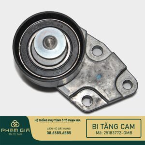 BI TANG CAM 25183772-GMB