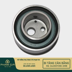 BI TANG DAY CAN BANG 244503Y200-GMB