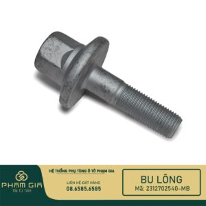 BU LONG DAU TRUC CO 2312702540-MB