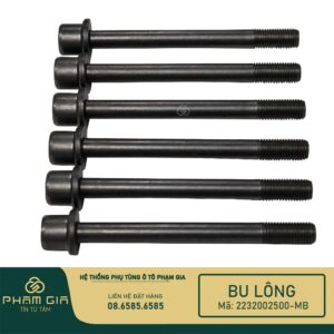 BU LONG MAT MAY 2232002500-MB